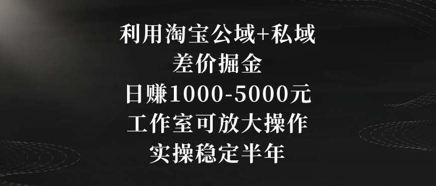 利用淘宝公域+私域差价掘金，日赚1000-5000元，工作室可放大操作，实操稳定半年【揭秘】|无忧资源社