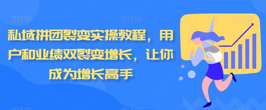 私域拼团裂变实操教程，用户和业绩双裂变增长，让你成为增长高手|无忧资源社