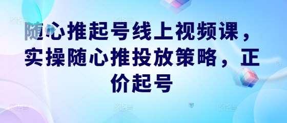 随心推起号线上视频课，实操随心推投放策略，正价起号|无忧资源社