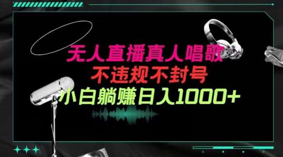 抖音24小时无人直播音乐，不违规，不封号纯撸音浪，小白实操当天日入1000+【揭秘】|无忧资源社