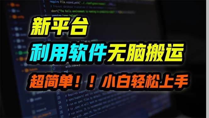 （9745期）新平台用软件无脑搬运，月赚10000+，小白也能轻松上手|无忧资源社
