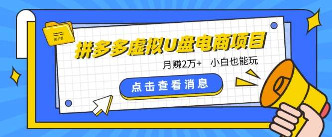拼多多虚拟U盘电商红利项目：月赚2万+，新手小白也能玩|无忧资源社
