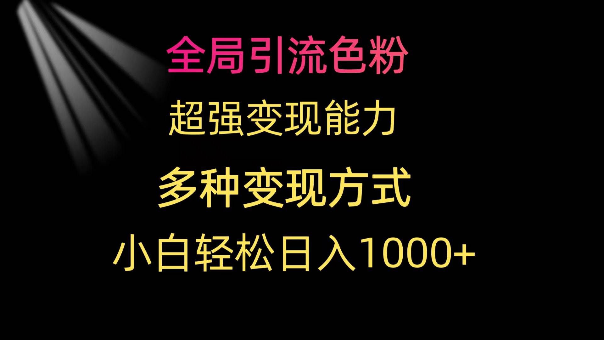 （9680期）全局引流色粉 超强变现能力 多种变现方式 小白轻松日入1000+|无忧资源社