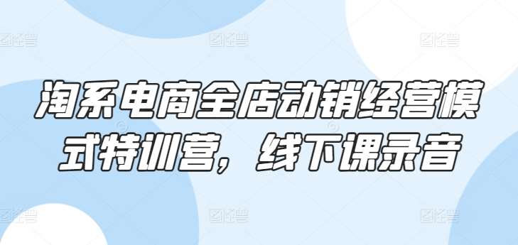 淘系电商全店动销经营模式特训营，线下课录音|无忧资源社