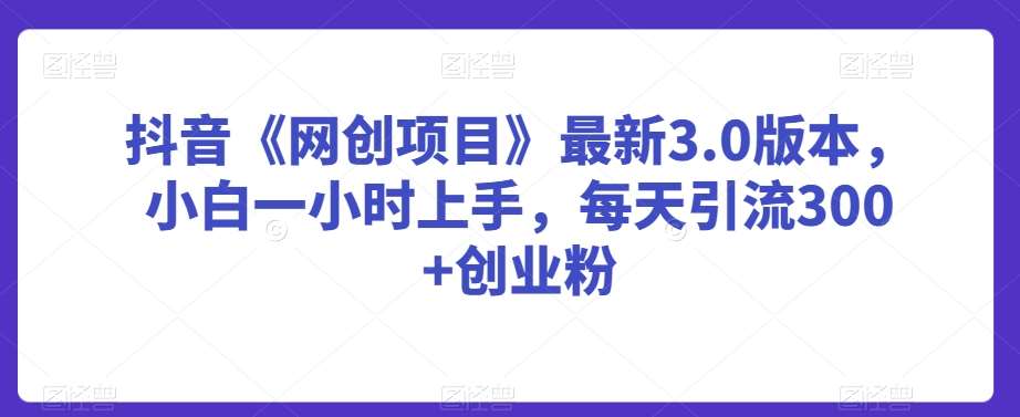 抖音《网创项目》最新3.0版本，小白一小时上手，每天引流300+创业粉【揭秘】|无忧资源社