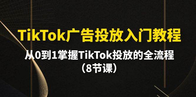 （10085期）TikTok广告投放入门教程，从0到1掌握TikTok投放的全流程（8节课）|无忧资源社