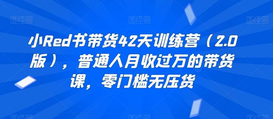 小Red书带货42天训练营（2.0版），普通人月收过万的带货课，零门槛无压货|无忧资源社