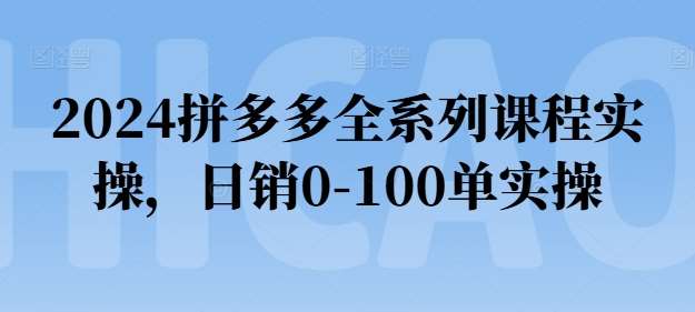 2024拼多多全系列课程实操，日销0-100单实操【必看】|无忧资源社