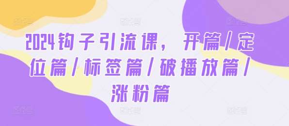 2024钩子引流课，开篇/定位篇/标签篇/破播放篇/涨粉篇|无忧资源社