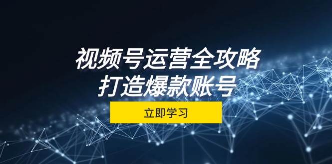 （12912期）视频号运营全攻略，从定位到成交一站式学习，视频号核心秘诀，打造爆款…|无忧资源社