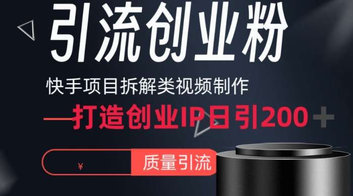 快手项目拆解类视频详细制作流程打造个人IP，单日引流200+高质量创业粉【揭秘】|无忧资源社