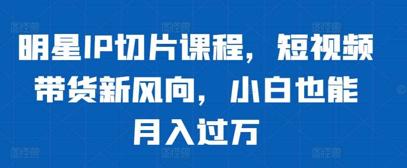 明星IP切片课程，短视频带货新风向，小白也能月入过万|无忧资源社