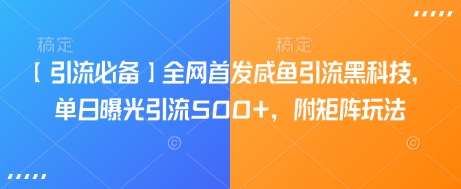 【引流必备】全网首发咸鱼引流黑科技，单日曝光引流500+，附矩阵玩法【揭秘】|无忧资源社