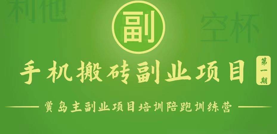 手机搬砖小副业项目训练营1.0，能用手机做的简单小副业|无忧资源社