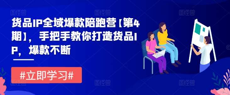 货品IP全域爆款陪跑营【第4期】，手把手教你打造货品IP，爆款不断|无忧资源社