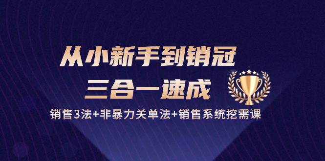 从小新手到销冠三合一速成：销售3法+非暴力关单法+销售系统挖需课 (27节)|无忧资源社