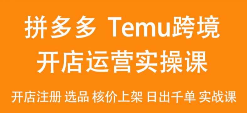 2024Temu最新玩法，Temu跨境开店运营实操课，开店注册/选品/核价上架/日出千单实战课|无忧资源社