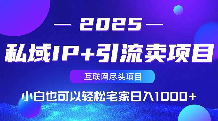 （14151期）私域IP+引流卖项目，小白也可以做到轻松宅家日入1000+|无忧资源社