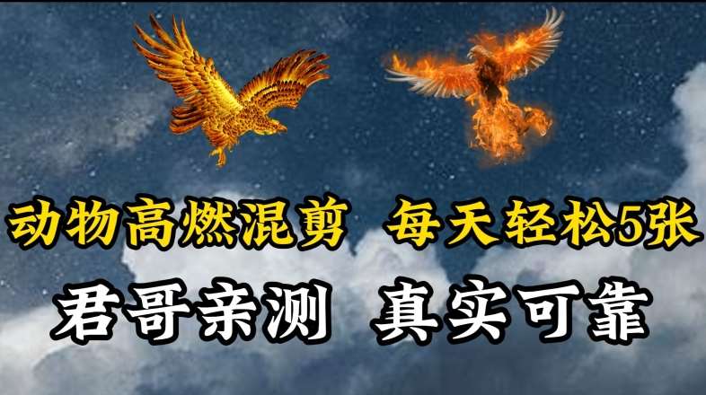 动物超燃混剪，每天轻松5张，剪辑简单大家爱看【揭秘】|无忧资源社