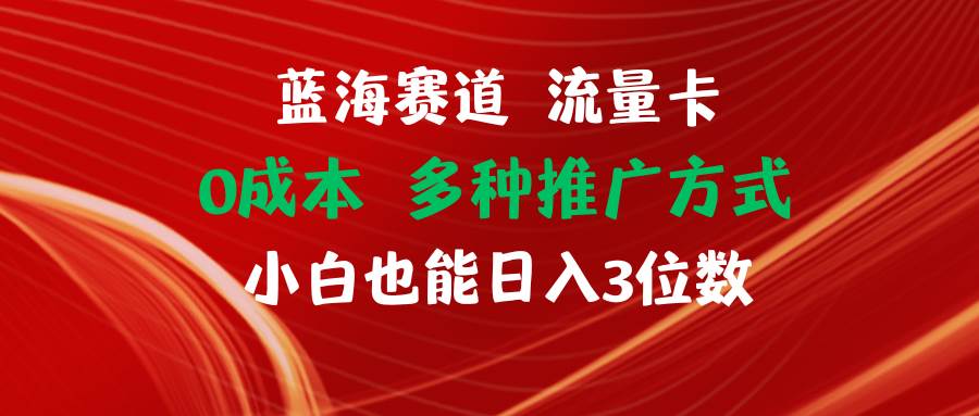 （11768期）蓝海赛道 流量卡 0成本 小白也能日入三位数|无忧资源社