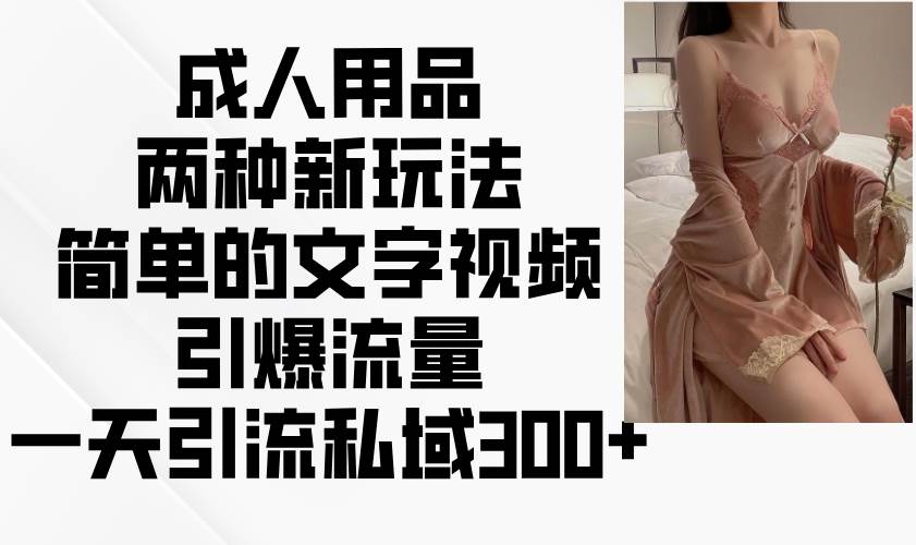 成人用品两种新玩法，简单的文字视频引爆流量，一天引流私域300+|无忧资源社
