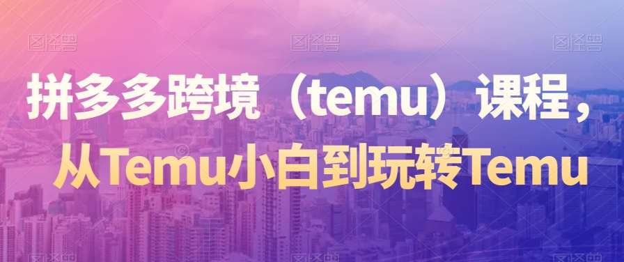 拼多多跨境（temu）课程，从Temu小白到玩转Temu|无忧资源社