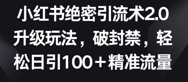 小红书绝密引流术2.0升级玩法，破封禁，轻松日引100+精准流量【揭秘】|无忧资源社