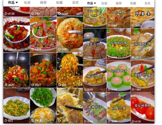图片[2]|抖音带货美食领域课程，无需真人实拍仅靠剪辑实现涨粉|无忧资源社