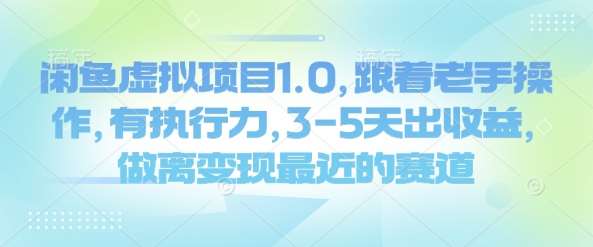 闲鱼虚拟项目1.0，跟着老手操作，有执行力，3-5天出收益，做离变现最近的赛道|无忧资源社