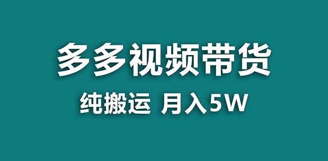 （8491期）【蓝海项目】拼多多视频带货 纯搬运一个月搞了5w佣金，小白也能操作 送工具|无忧资源社