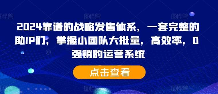 2024靠谱的战略发售体系，一套完整的助IP们，掌握小团队大批量，高效率，0 强销的运营系统|无忧资源社