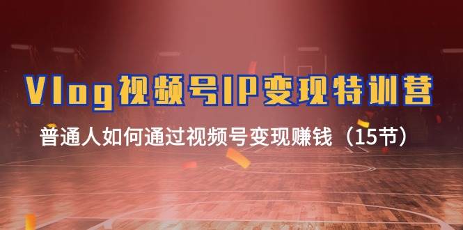 Vlog视频号IP变现特训营，普通人如何通过视频号变现赚钱（15节）|无忧资源社