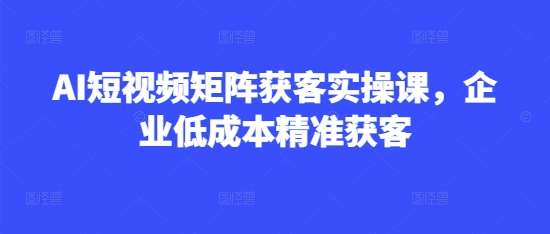 AI短视频矩阵获客实操课，企业低成本精准获客|无忧资源社