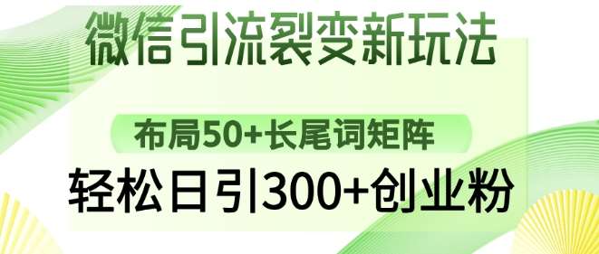 微信引流裂变新玩法：布局50+长尾词矩阵，轻松日引300+创业粉|无忧资源社