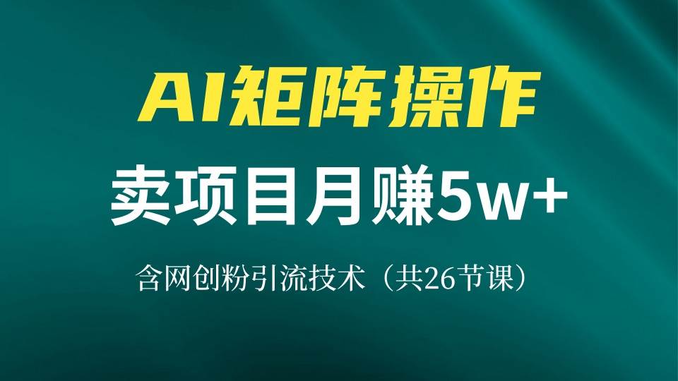 （13335期）网创IP打造课，借助AI卖项目月赚5万+，含引流技术（共26节课）|无忧资源社