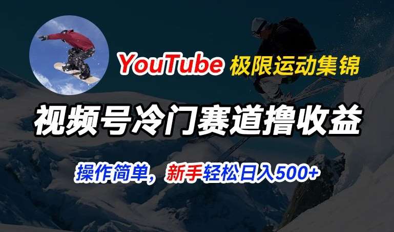 视频号冷门赛道撸收益，YouTube搬运极限运动集锦，暴力起号，操作简单流量高，轻松日入5张【揭秘】|无忧资源社