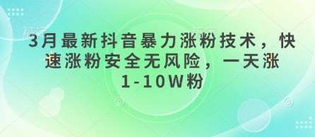 3月最新抖音暴力涨粉技术，快速涨粉安全无风险，一天涨1-10W粉|无忧资源社