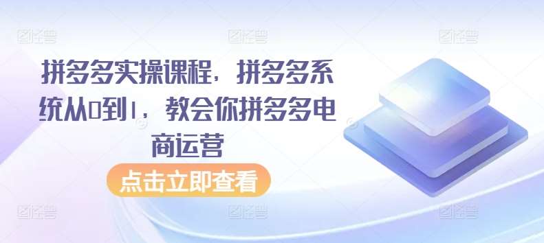 拼多多实操课程，拼多多系统从0到1，教会你拼多多电商运营|无忧资源社