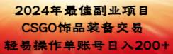 （8941期）2024年最佳副业项目 CSGO饰品装备交易 轻易操作单账号日入200+|无忧资源社
