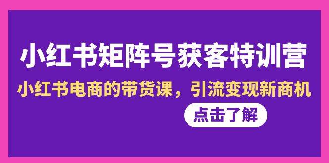 （8909期）小红书-矩阵号获客特训营-第10期，小红书电商的带货课，引流变现新商机|无忧资源社
