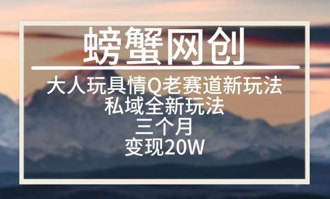 大人玩具情Q用品赛道私域全新玩法，三个月变现20W，老项目新思路【揭秘】|无忧资源社