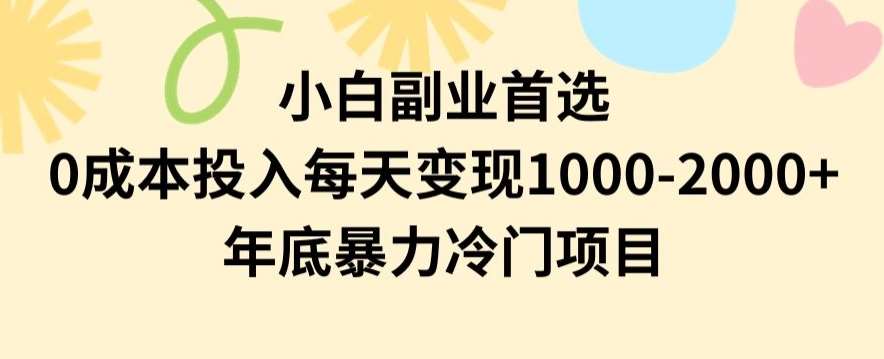 小白副业首选，0成本投入，每天变现1000-2000年底暴力冷门项目【揭秘】|无忧资源社