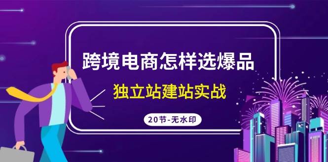 （9369期）跨境电商怎样选爆品，独立站建站实战（20节高清无水印课）|无忧资源社