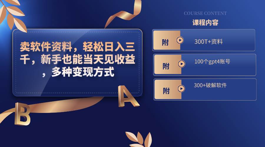 （8582期）卖软件资料，轻松日入三千，新手也能当天见收益，多种变现方式，（附300…|无忧资源社