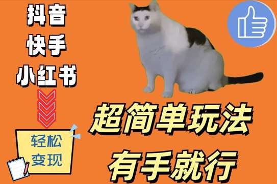 超简单玩法，有手就行，靠猫咪视频日入500+【揭秘】|无忧资源社