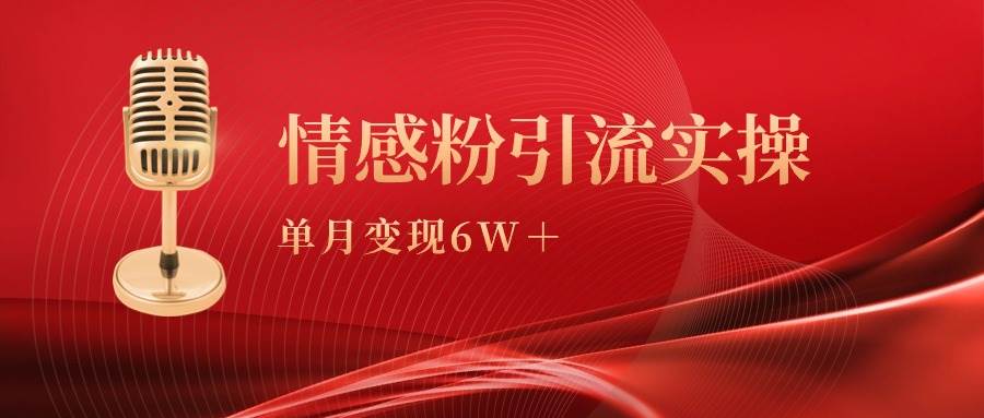 （9473期）单月变现6w+，情感粉引流变现实操课|无忧资源社