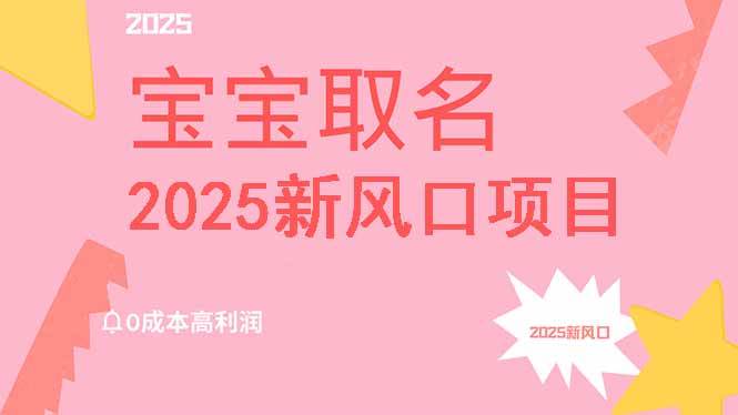 （14593期）2025新风口项目宝宝取名，0成本高利润，附保姆级教程，月入过万不是梦|无忧资源社