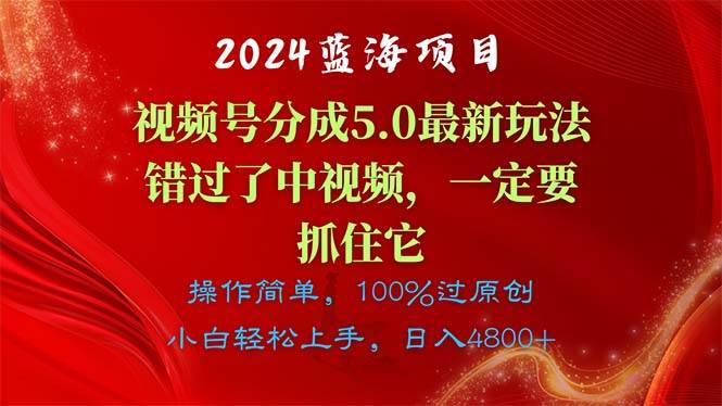 （11032期）2024蓝海项目，视频号分成计划5.0最新玩法，错过了中视频，一定要抓住…|无忧资源社