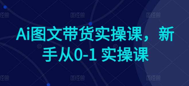 Ai图文带货实操课，新手从0-1 实操课|无忧资源社