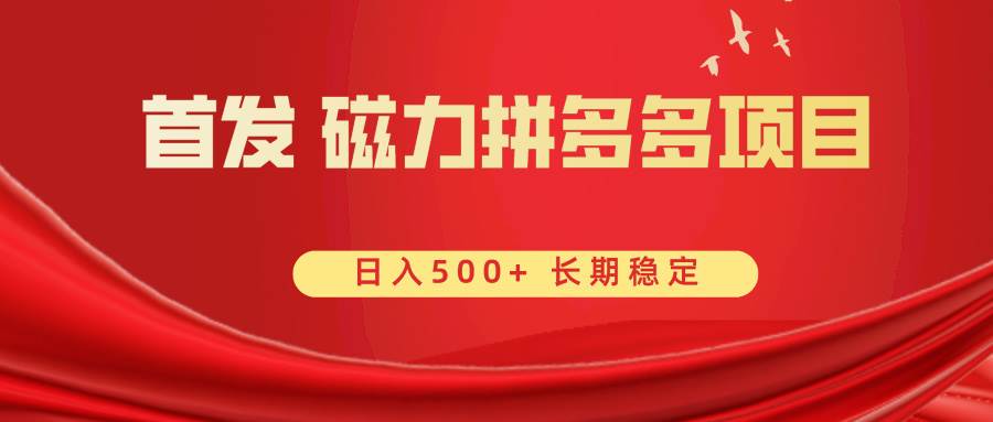 （8611期）首发 磁力拼多多自撸  日入500+|无忧资源社